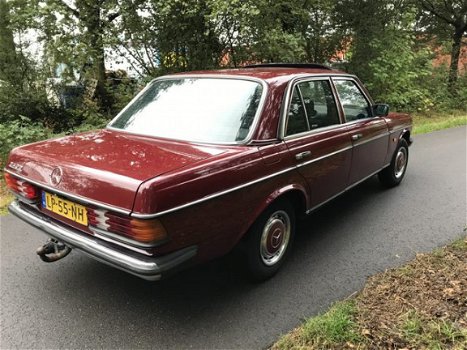 Mercedes-Benz 200-280 (W123) - 200-serie (240 D 5Bak - 1