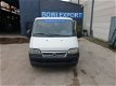 Fiat Ducato - 1 - Thumbnail