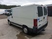 Fiat Ducato - 1 - Thumbnail