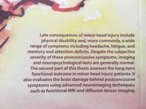 Imaging in Minor Head Injury - Marion Smits - Afbeelding 3