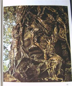 Artis boek - Angkor - 6