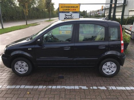 Fiat Panda - 1.2 Dynamic - 1