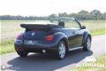 Volkswagen New Beetle Cabriolet - 1.6 Turijn Comfort * UNIEK - 1 - Thumbnail