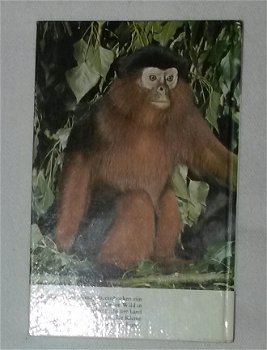 De wereld van de apen (Disney dierenboek) - 2