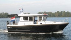 Minor Sargo 31