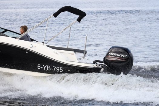 Sea Ray SPX 190 Outboard - 6