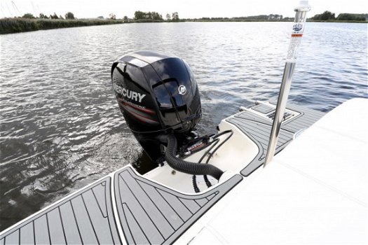 Sea Ray SPX 190 Outboard - 7