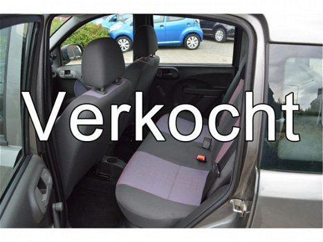 Fiat Panda - 1.2 Edizione Cool - 1