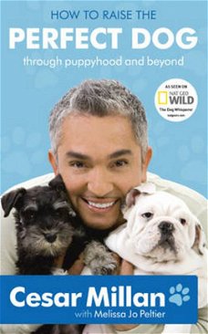 Cesar Millan  -   How to Raise the Perfect Dog  (Hardcover/Gebonden)  Engelstalig