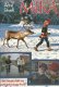 Arne Stivell - Mika - Een Avontuurlijke Reis Van Lapland Naar Parijs (Hardcover/Gebonden) - 1 - Thumbnail