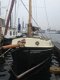 Norfolk Gypsy - 5 - Thumbnail