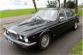 Daimler Double Six - 6.0 V12 // SCHUURVONDST // - 1 - Thumbnail