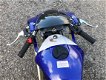 Pocketbike 49cc R6 - 7 - Thumbnail