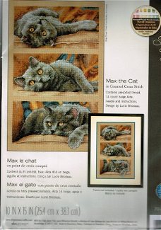 AANBIEDING  DIMENSIONS BORDUURPAKKET  , MAX  THE CAT