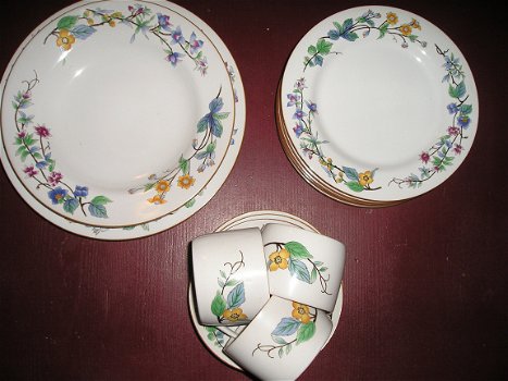 WOODHILL CITATION-FLOWERED. servies delen NIEUW - 3