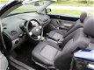 Volkswagen New Beetle Cabriolet - 1.6 ( AIRCO + INRUIL MOGELIJK ) - 1 - Thumbnail