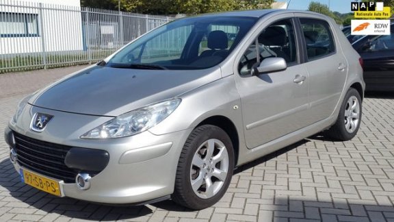 Peugeot 307 - 2.0-16V XS 5 Deurs - 1