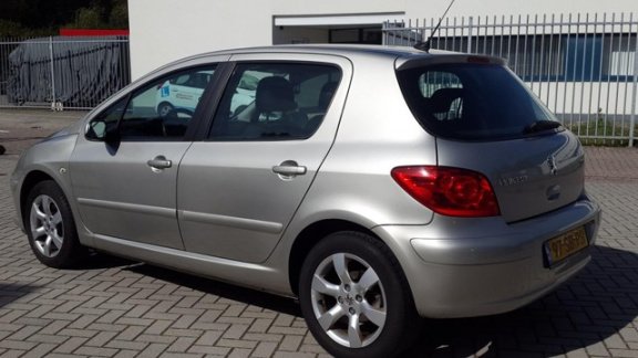 Peugeot 307 - 2.0-16V XS 5 Deurs - 1