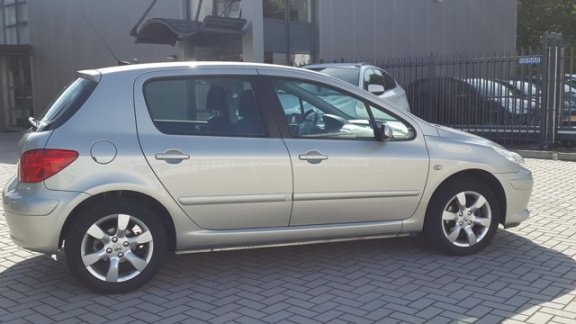 Peugeot 307 - 2.0-16V XS 5 Deurs - 1