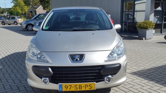 Peugeot 307 - 2.0-16V XS 5 Deurs - 1