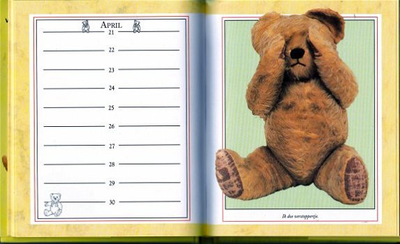 Het Teddybeer verjaardagsboek - 3