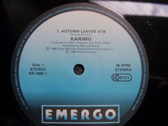 KARIMU AUTUMN LEAVES - Afbeelding 2