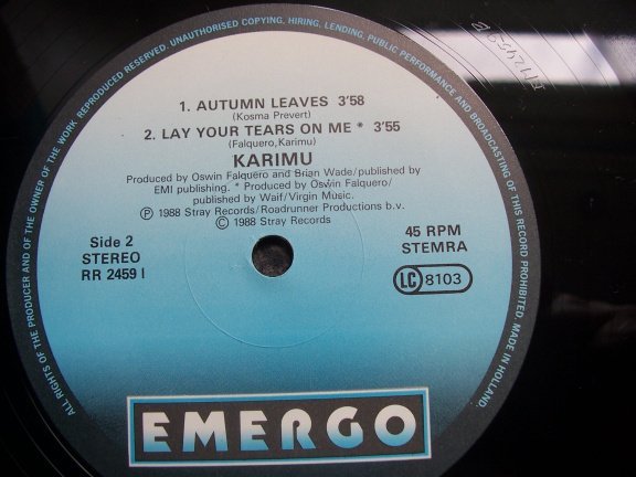 KARIMU AUTUMN LEAVES - Afbeelding 3