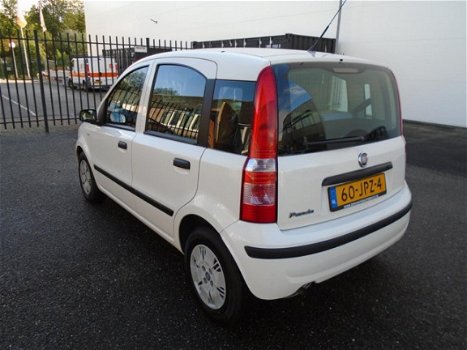 Fiat Panda - 1.2 Edizione Cool Boekjes N.A.P - 1