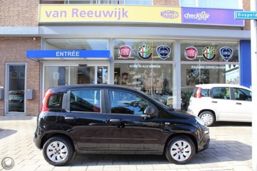 Fiat Panda - 1.2 Edizione Cool, drie gordels achter - 1