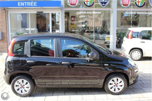 Fiat Panda - 1.2 Edizione Cool, drie gordels achter - 1