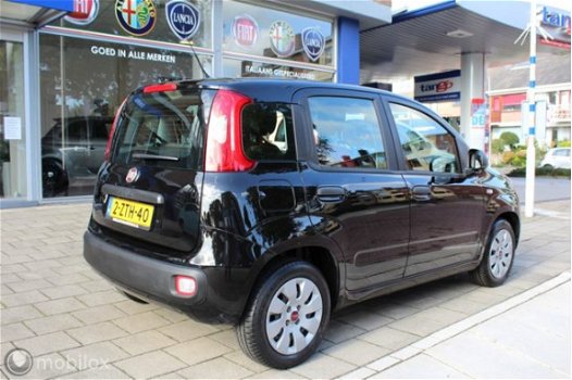 Fiat Panda - 1.2 Edizione Cool, drie gordels achter - 1