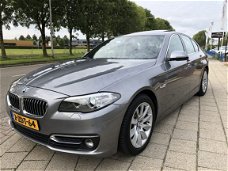 BMW 5-serie - 520d Luxury Edition garantie* 6 maanden