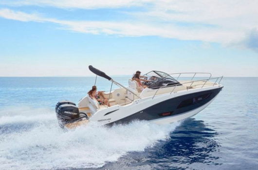 Quicksilver Activ 875 Sundeck - 2