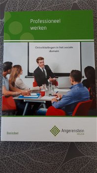 Professioneel werken , Angerstein. 9789037223637 - 1