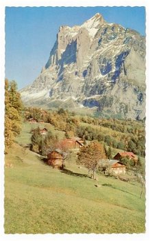 R143 Grindelwald Wetterhorn / Zwitserland - 1