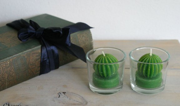 lekker maf: 2 kaarsjes in de vorm van een cactus (in glas) - 1