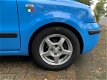 Fiat Panda - 1.2 Dynamic Elektr. ramen, Nwe APK, Airco, Nwe Distributie - 1 - Thumbnail