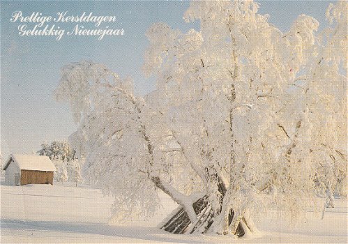 Prettige Kerstdagen Gelukkig Nieuwjaar 100 - 1