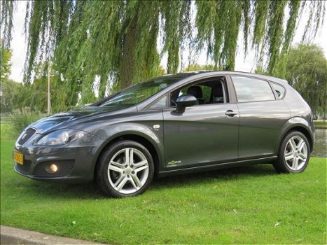 Seat Leon - 1.2 TSI Eco.Bns COPA NAVIGATIE LEDER STOELVERWARMING CLIMA CRUISE *NL-AUTO - 1