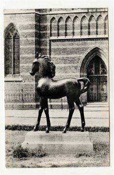 S093 Groningen Veulen aan de Radesingel - 1