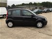 Fiat Panda - 1.2 Actual, 5-DEURS, 121.692 KM NAP, WEGENBELASTING MAAR €19, - PER MAAND - 1 - Thumbnail