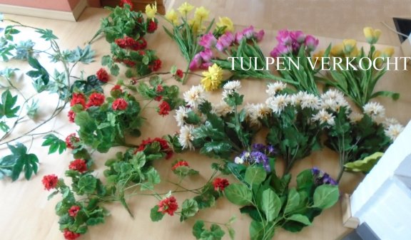 BLOEMEN ZEE 8 bossen - nr. 1