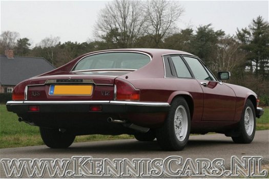 Jaguar XJS - 1986 V12 5300 Coupe Coupe - 1