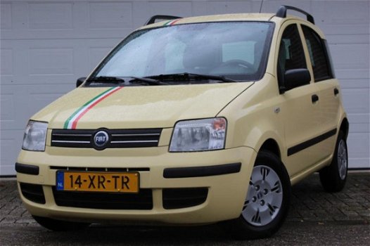 Fiat Panda - 1.2 Dynamic italia - 1