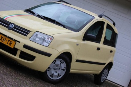 Fiat Panda - 1.2 Dynamic italia - 1