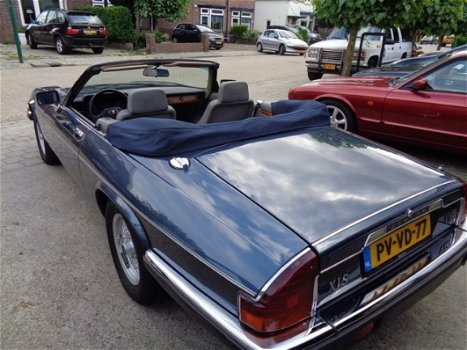 Jaguar XJS - Xj-s Convertible 5.3 - 1