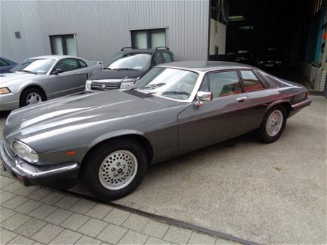 Jaguar XJS - Xj-s 3.6 Handgeschakeld - 1