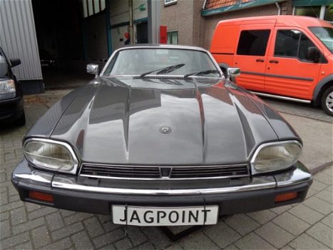 Jaguar XJS - Xj-s 3.6 Handgeschakeld - 1