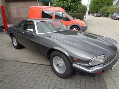 Jaguar XJS - Xj-s 3.6 Handgeschakeld - 1