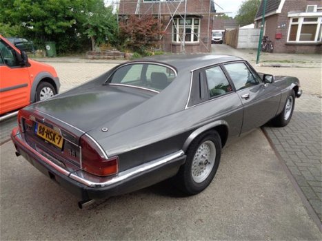 Jaguar XJS - Xj-s 3.6 Handgeschakeld - 1